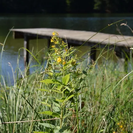 Seenparadies בית נופש *