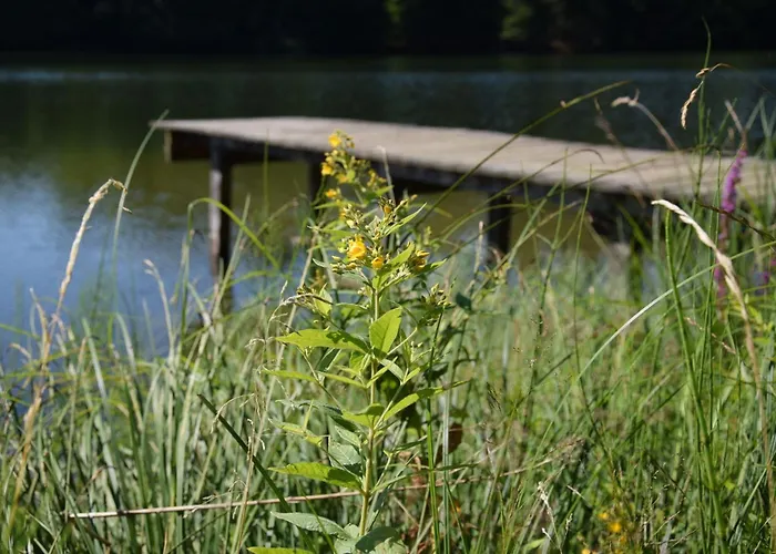 Seenparadies Vakantiehuis *